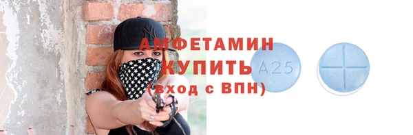 индика Туринск